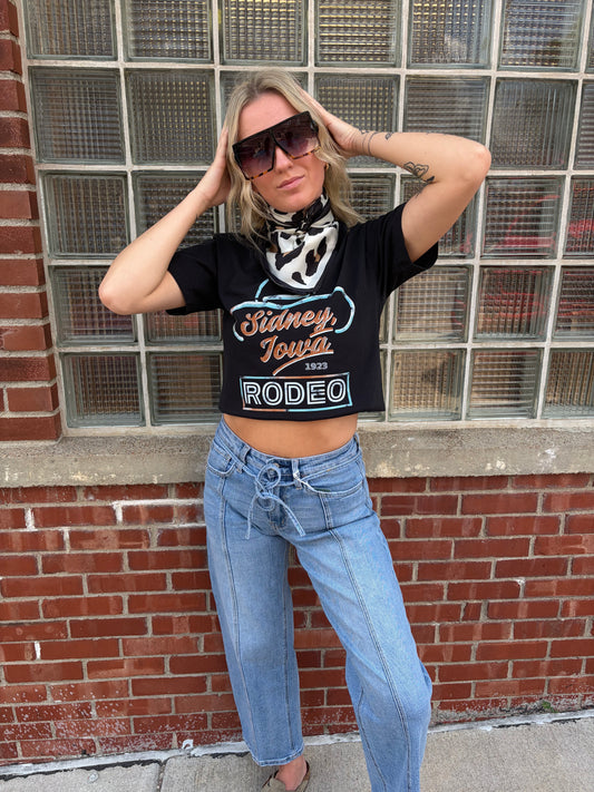Sidney Iowa Rodeo American Apparel T-Shirt