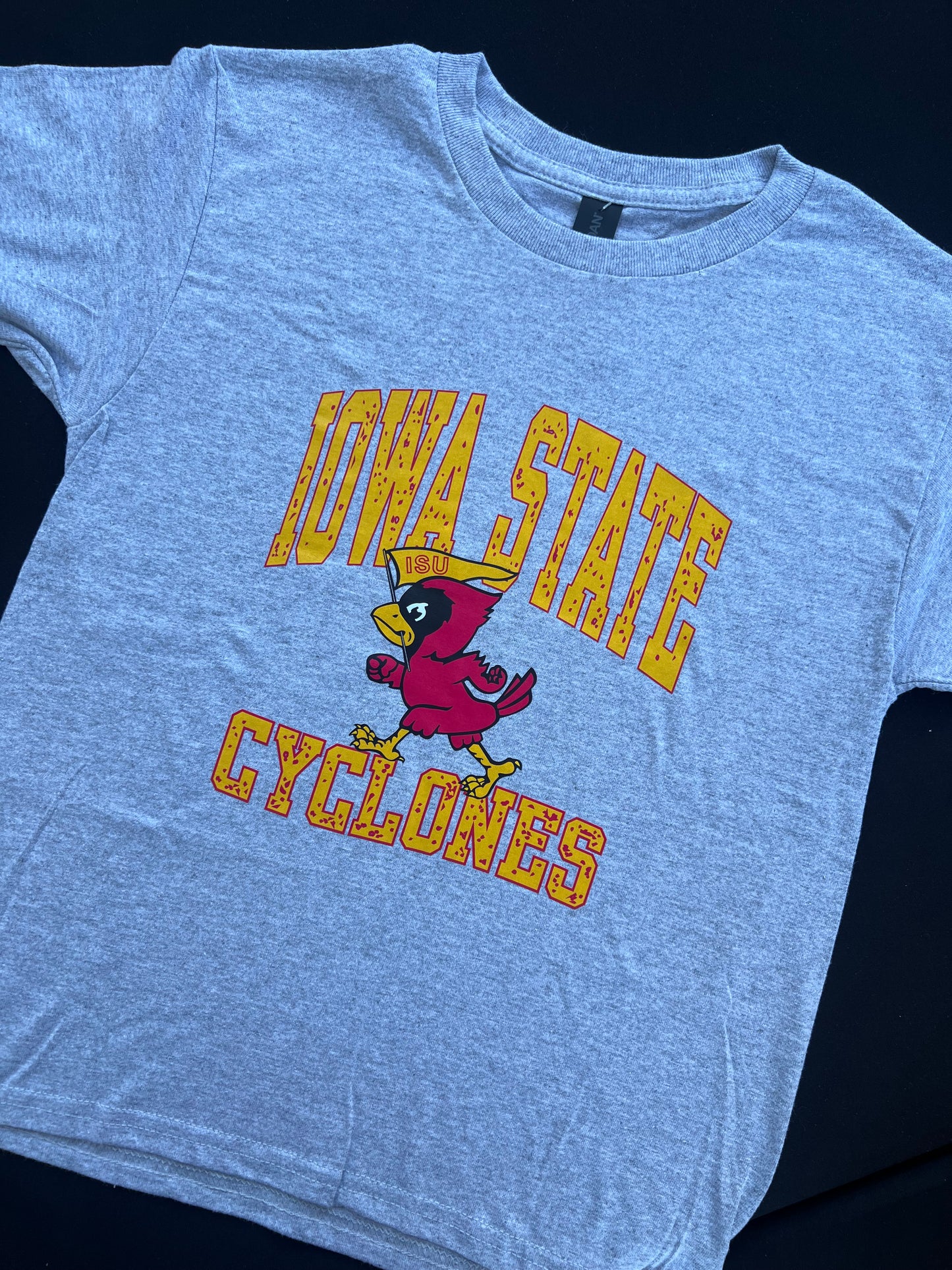 State Gameday Youth Gildan Tee